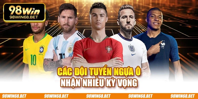 Các đội tuyển ngựa ô nhận nhiều kỳ vọng